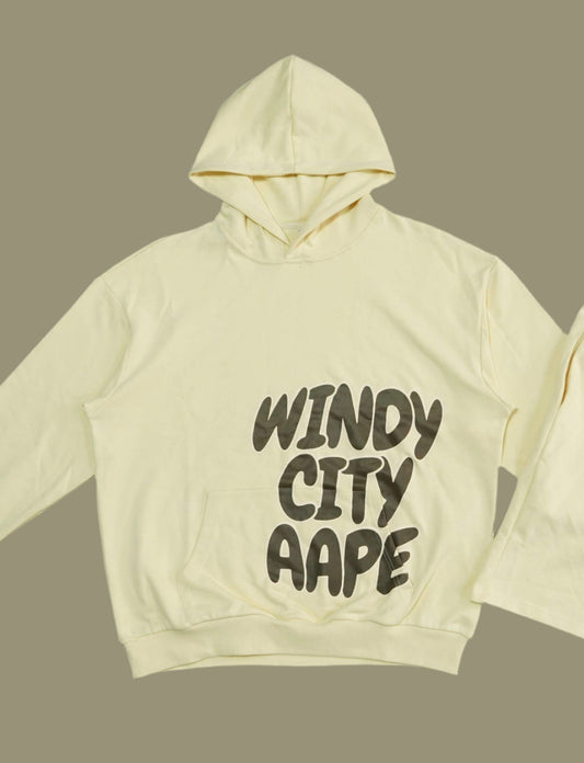 WINDY CITY AAPE HOODIE